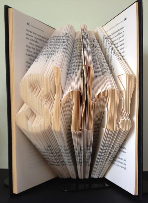Shh Finished Book