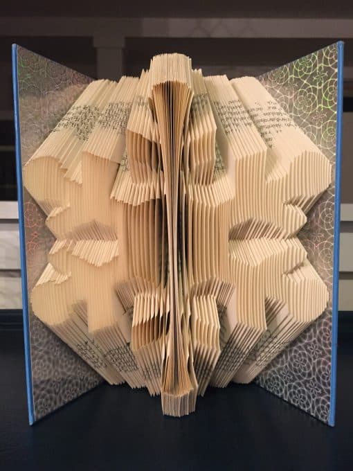 snowflake finished book